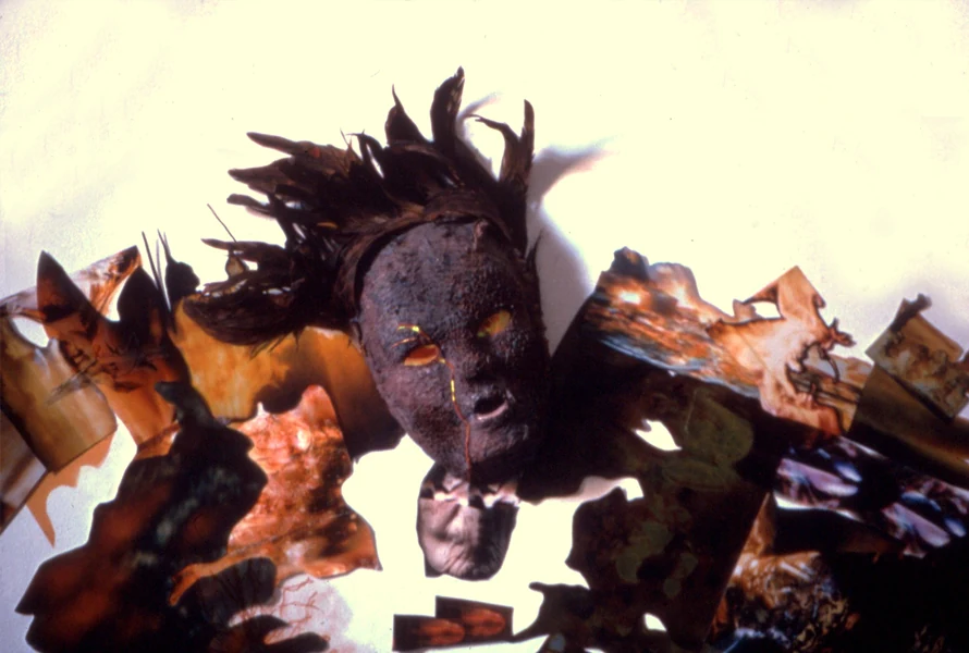 Archive file Katak4.jpg